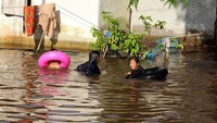 Sebanyak enam kabupaten di Kalimantan Barat yaitu Sanggau, Sekadau, Melawi, Sintang, Kapuas Hulu dan Ketapang terendam banjir akibat tingginya curah hujan selama hampir empat pekan terakhir. ANTARA FOTO/Jessica Helena Wuysang  