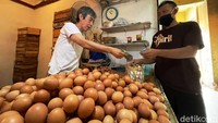 Harga komoditas telur ayam negeri mengalami lonjakan hingga Rp 26.000 per kilogram. 