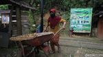 Kawasan Ekowisata Kedung Pedut Kulon Progo Ditutup