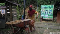 Debit air meningkat usai hujan lebat yang mengguyur membuat Ekowisata Kedungpedut ditutup sementara. 