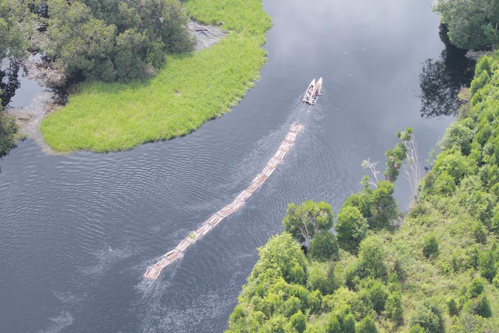 Kayu illegal logging dihanyutkan ke sungai di Riau oleh kelompok 'Anak Jenderal'.