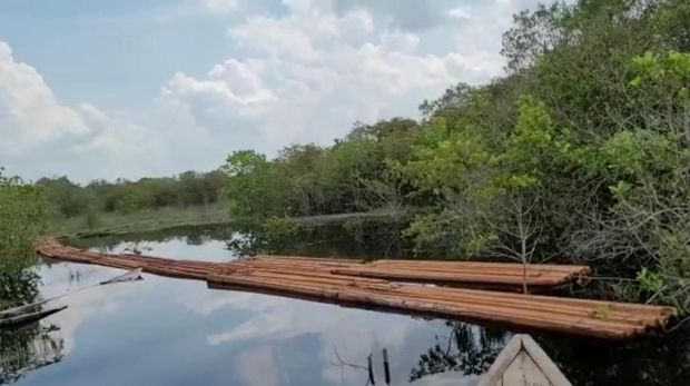 Kayu illegal logging dihanyutkan ke sungai di Riau oleh kelompok 'Anak Jenderal'.