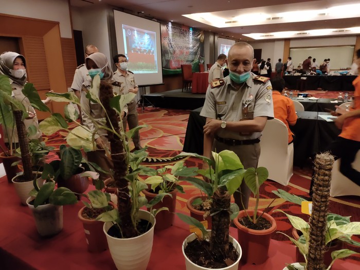 Kepala Karantina Pertanian Surabaya, Musyaffak