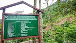 Longsor Masih Putus Akses Jalan di Bukit Menoreh Kulon Progo