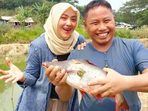 Punya 1.000 Hektare, Narji Cagur Jadi Juragan Tanah