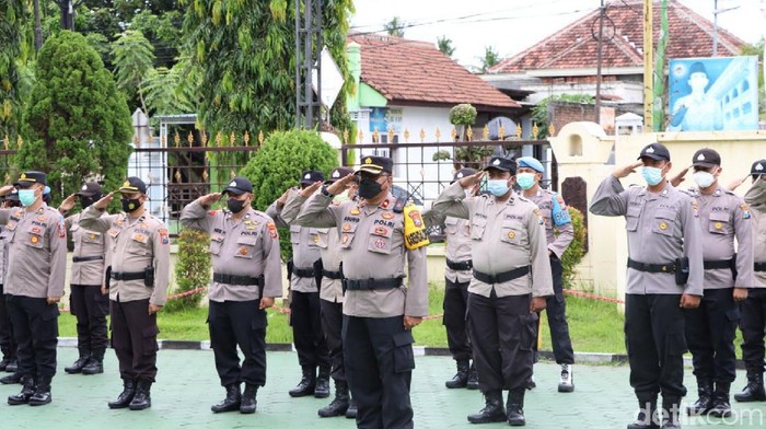 pilkades serentak di banyuwangi