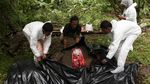 Anak Gajah di Aceh Mati Usai Belalai Putus Kena Jerat