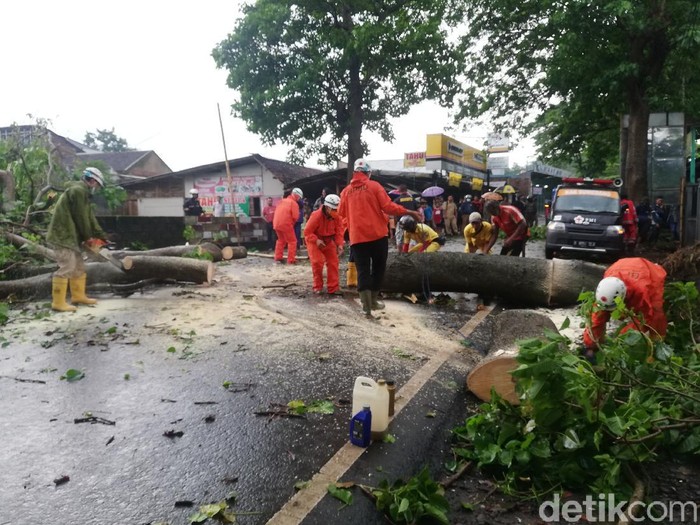 Pohon tumbang di Sumedang