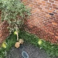 Setiap detail sangat diperhatikan termasuk untuk landscaping. Misal, tanaman liar dipilih, tapi ditata rapi agar tetap enak dipandang mata. (Foto: Instagram/the_house_of_olive)