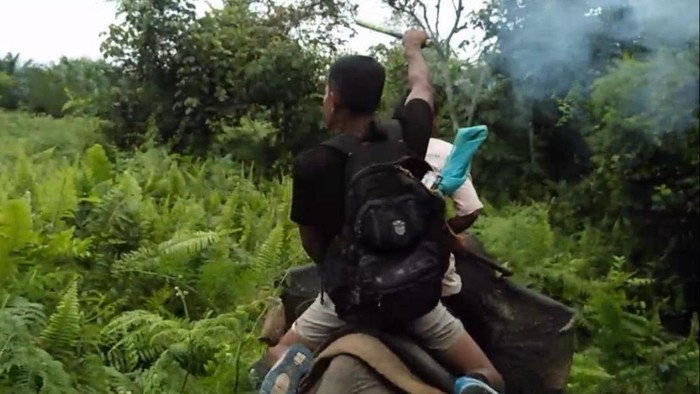 Tim BKSDA menggiring gajah liar dari kebun warga di Riau (dok. Istimewa)