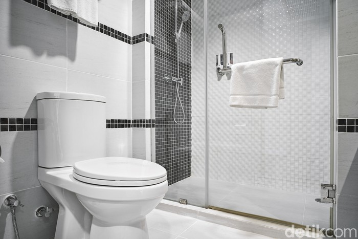 Hari Toilet Sedunia diperingati setiap tanggal 19 November tiap tahunnya.