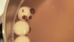 Boba Ini Berbentuk Panda yang Bikin Gemas, Intip Cara Membuatnya!