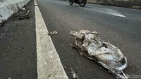Padahal pembangunan konstruksi Flyover Rawa Panjang, Kota Bekasi, itu dilaporkan menelan biaya sebesar Rp 180 miliar. Bagaimana menurut anda?