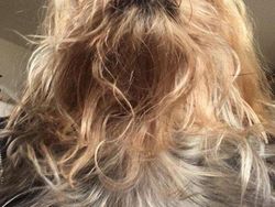 Awas Foto Ini Menjebak, Bisa Tertipu Bila Lihat Sekilas