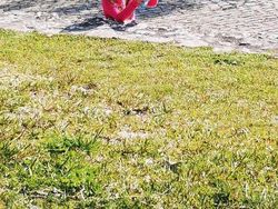 Awas Foto Ini Menjebak, Bisa Tertipu Bila Lihat Sekilas