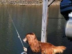 Awas Foto Ini Menjebak, Bisa Tertipu Bila Lihat Sekilas