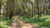 Tahun ini pada bulan Februari, Gunung Batu kembali menelan korban. 