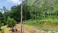 Seorang pendaki meregang nyawa karena terjatuh ke kedalaman ratusan meter. Lalu bertepatan pada HUT RI ke-71, ada juga yang terjatuh ke jurang sedalam 300 meter. 