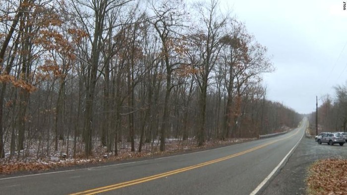 Hutan lokasi kecelakaan pesawat di Pennsylvania