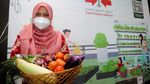 Kala Pemulia Tanaman Berkumpul di Bogor, Ada Apa?