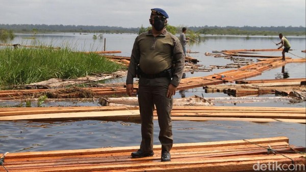 Potret Hutan Cagar Biosfer Riau yang Dijarah Komplotan Anak Jenderal