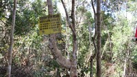 Foto: Kapolda Riau, Irjen Agung Setya memimpin operasi gabungan pengungkapan illegal logging di Cagar Biosfer Giam Siak Kecil, Riau (Raja Adil/detikcom)