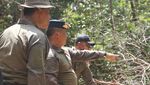 Potret Hutan Cagar Biosfer Riau yang Dijarah Komplotan Anak Jenderal