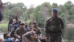 Potret Hutan Cagar Biosfer Riau yang Dijarah Komplotan Anak Jenderal