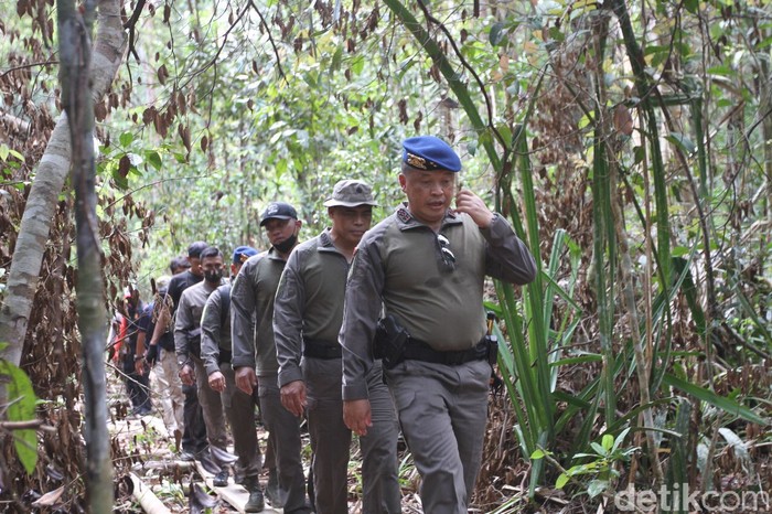 Kapolda Riau, Irjen Agung Setya memimpin operasi gabungan pengungkapan illegal logging di Cagar Biosfer Giam Siak Kecil, Riau (Raja Adil/detikcom) Kapolda Riau, Irjen Agung Setya memimpin operasi gabungan pengungkapan illegal logging di Cagar Biosfer Giam Siak Kecil, Riau (Raja Adil/detikcom)