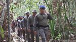 Potret Hutan Cagar Biosfer Riau yang Dijarah Komplotan Anak Jenderal