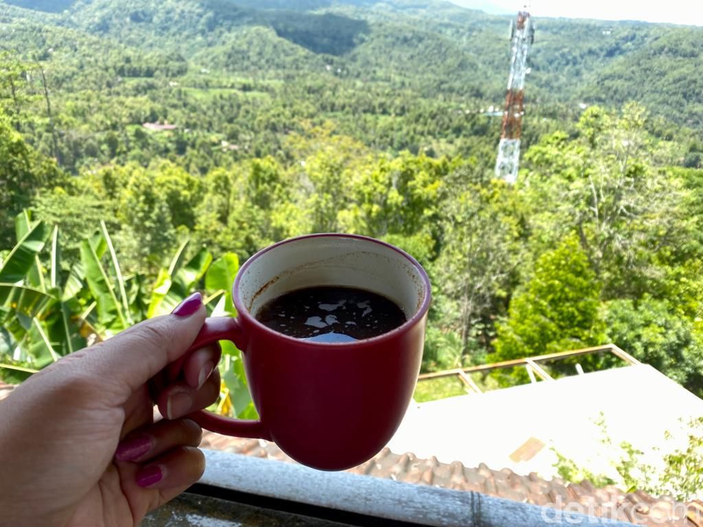 Uniknya Kopi Blue Tamblingan Beraroma Manis Cempedak Khas Desa Mundu