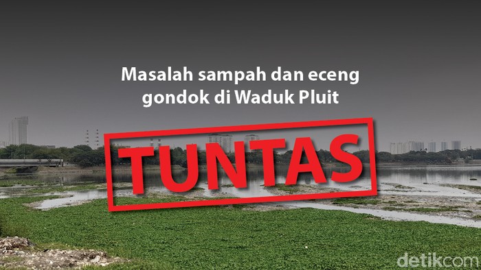 Masalah sampah dan eceng gondok di Waduk Pluit, tuntas. (Repro: Denny Putra/Tim Infografis detikcom)