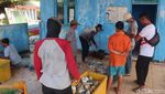 Melihat Nelayan Gunungkidul Panen Gurita