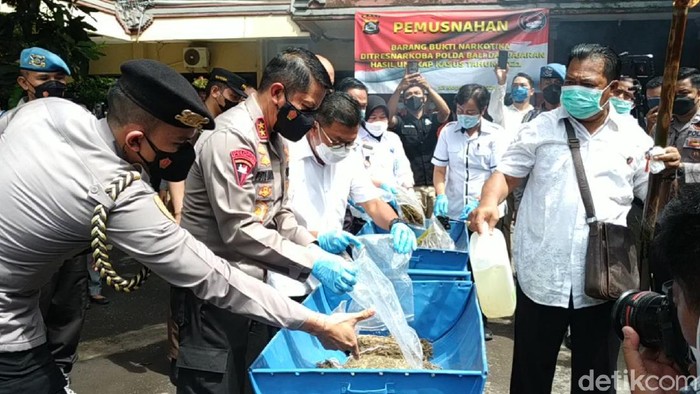 Pemusnahan narkoba di Polda Bali. (Sui Suadnyana/detikcom)