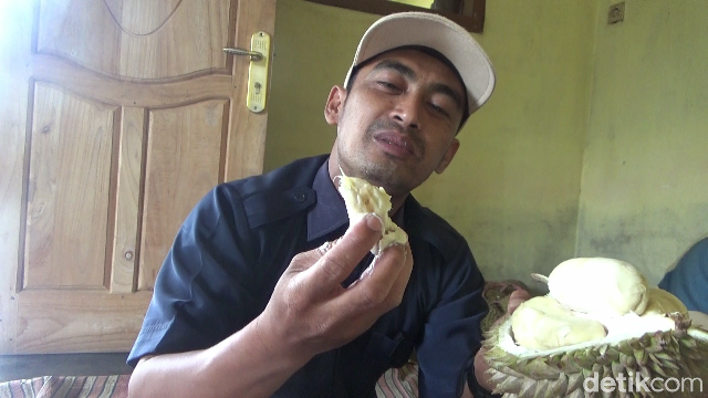 Penggemar Durian! Ini Durian Susu dari Gunung Semeru yang Manis Legit