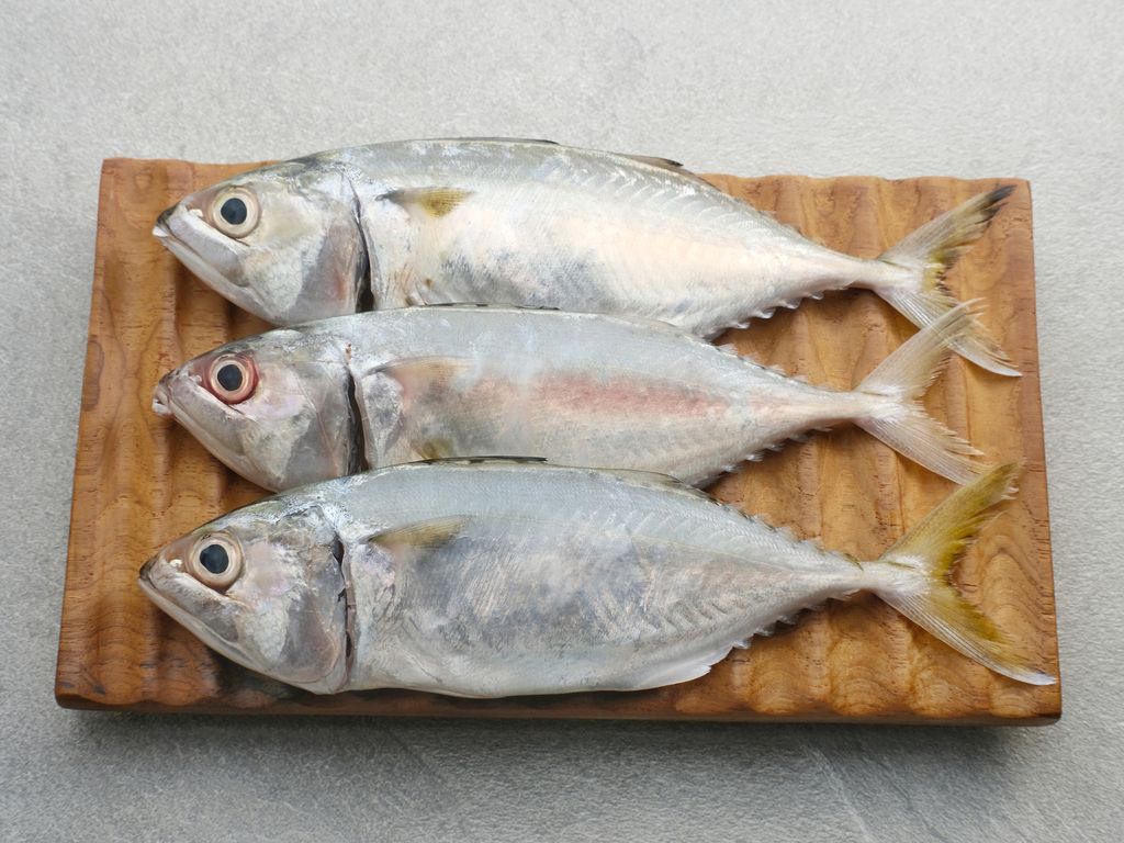 Resep Ikan Kembung Rica-rica