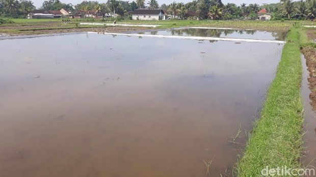 tanah longsor dan banjir di blitar