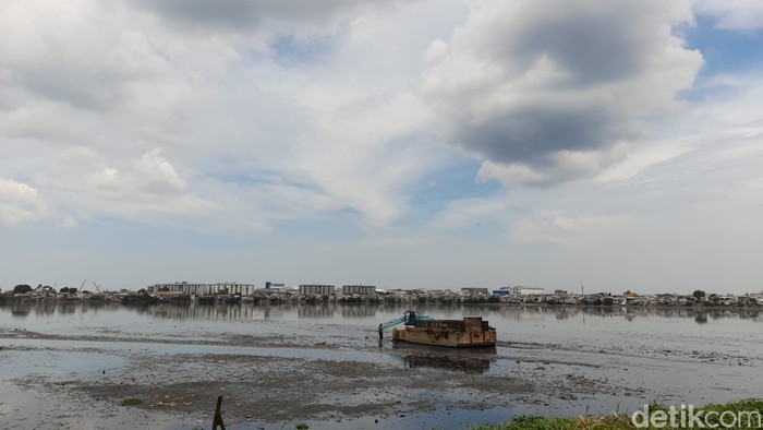 Waduk Pluit, Jakarta Utara, 17 November 2021, siang. (Marteen Ronaldo Pakpahan/detikcom)