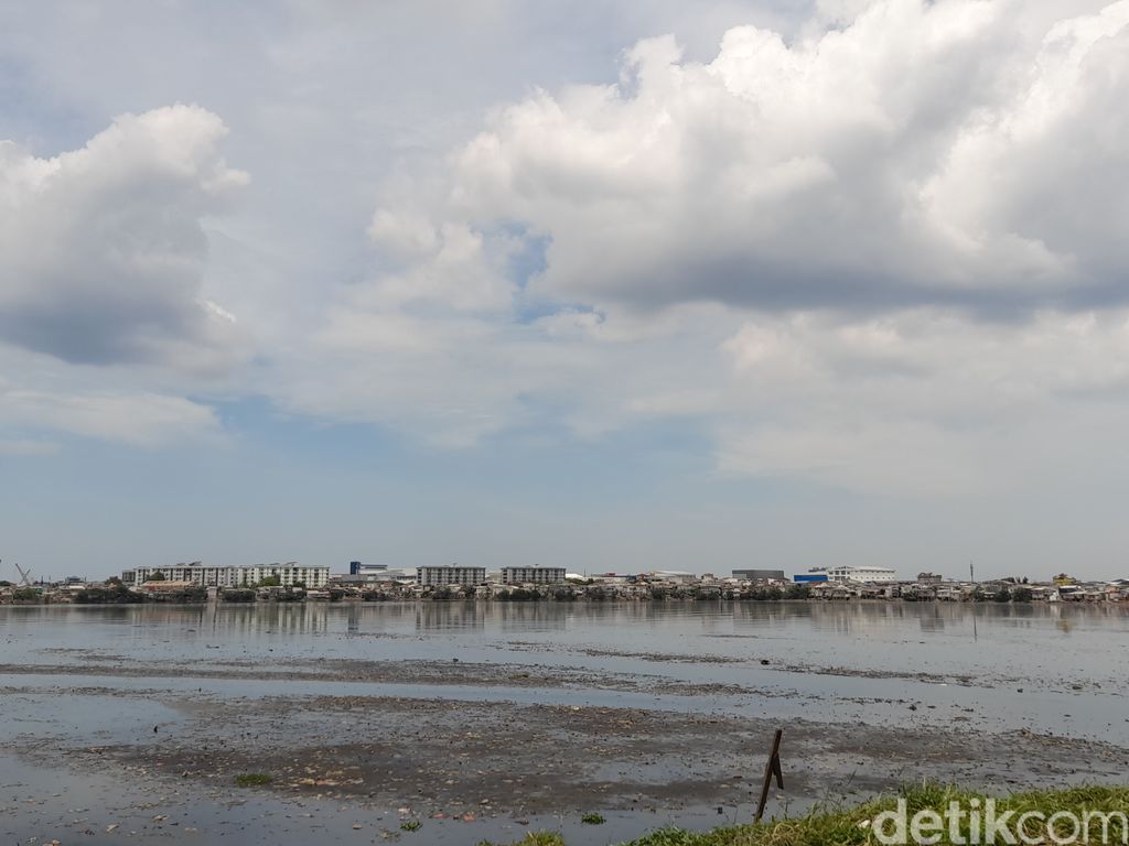 Waduk Pluit, Jakarta Utara, 17 November 2021, siang. (Marteen Ronaldo Pakpahan/detikcom) Waduk Pluit, Jakarta Utara, 17 November 2021, siang. (Marteen Ronaldo Pakpahan/detikcom)