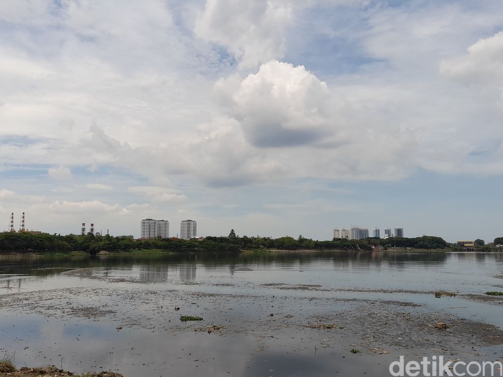 Waduk Pluit, Jakarta Utara, 17 November 2021, siang. (Marteen Ronaldo Pakpahan/detikcom) Waduk Pluit, Jakarta Utara, 17 November 2021, siang. (Marteen Ronaldo Pakpahan/detikcom)