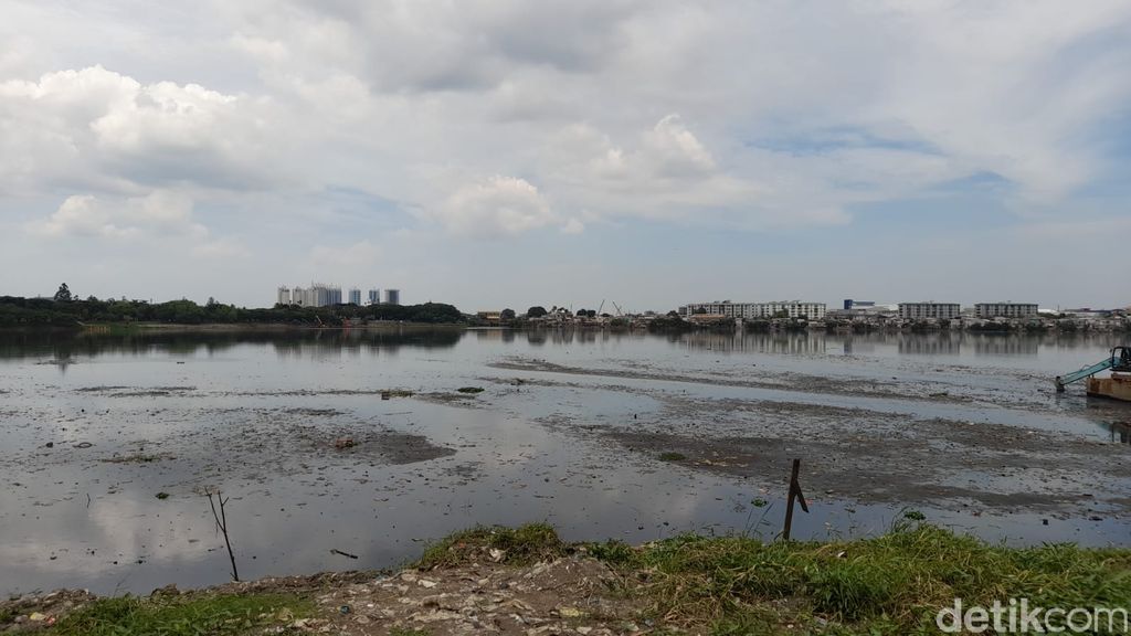 Waduk Pluit, Jakarta Utara, 17 November 2021, siang. (Marteen Ronaldo Pakpahan/detikcom)