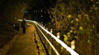 Karya seni ringan bernama Lines, yang dirancang untuk menyoroti dampak kenaikan permukaan air laut di sepanjang tepi Sungai Wear dan merupakan bagian dari festival cahaya Durham Lumiere di Durham, Inggris.