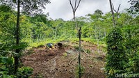 Alat berat dikerahkan karena ketebalan tanah yang menutupi jalan mencapai dua sampai tiga meter. Sementara panjang jalan yang tertutup sekitar 40 meter.