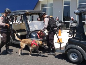 28 Anjing K9 Jaga Sirkuit Mandalika: Lacak Bom, Narkoba Hingga Pencuri