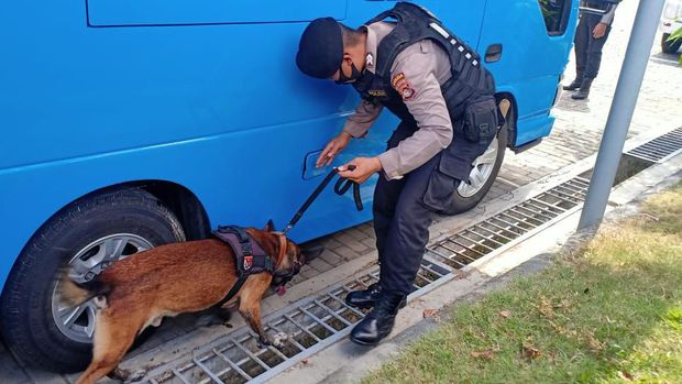 28 Anjing K9 Jaga Sirkuit Mandalika: Lacak Bom, Narkoba Hingga Pencuri