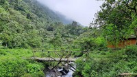 Pemandangan dari bendungan kecil di Curug Cikahuripan.