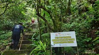 Trek tangga menuju Curug Cikahuripan.