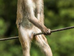 16 Foto Terkocak Jawara Comedy Wildlife Photography Bikin Ngakak