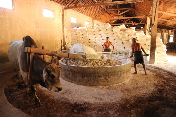 5 Fakta Mie Lethek, Mie Ndeso Khas Bantul yang Terbuat dari Singkong