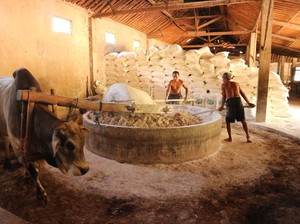 5 Fakta Mie Lethek, Mie Ndeso Khas Bantul yang Terbuat dari Singkong